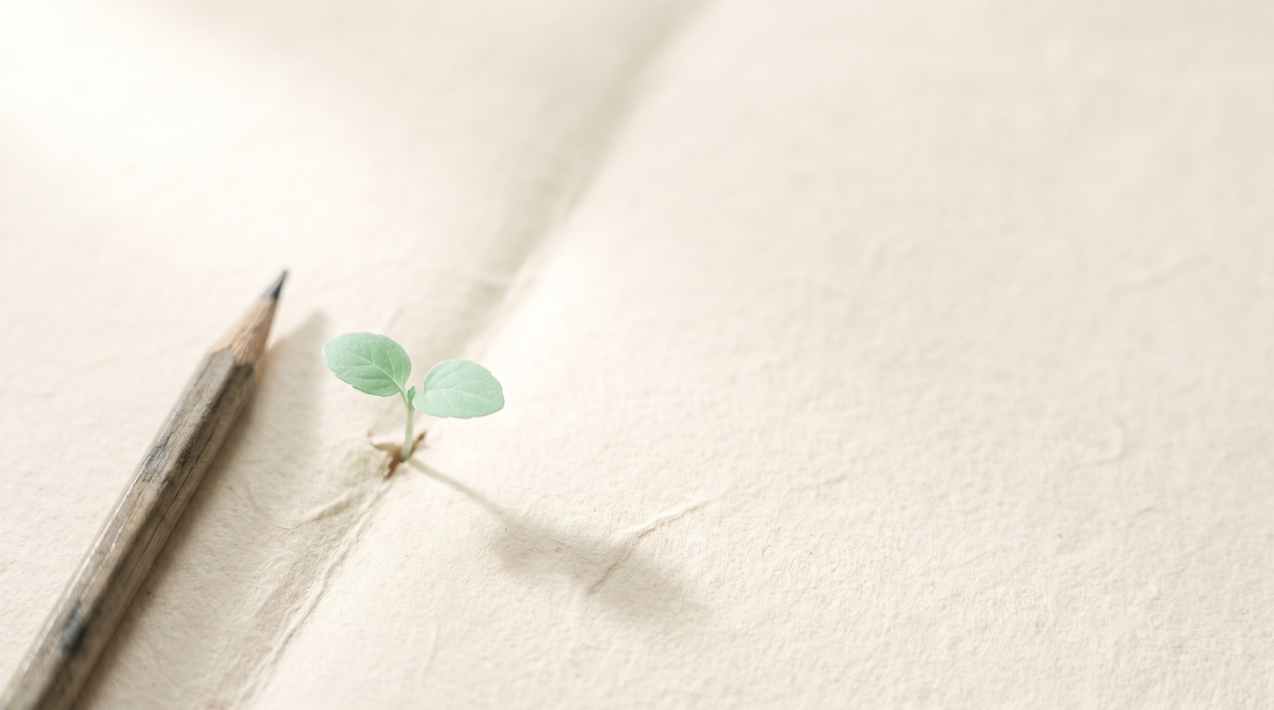 A pencil resting on warm paper, with a small green seedling growing up out of the page.